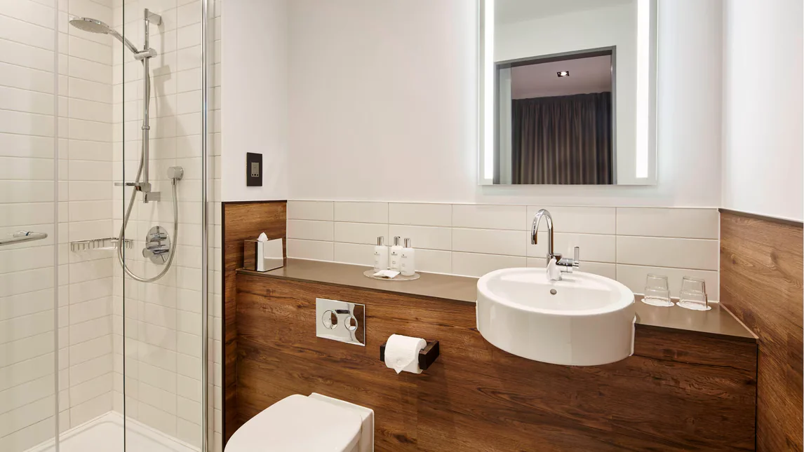 One-Bedroom Suite — view 4
